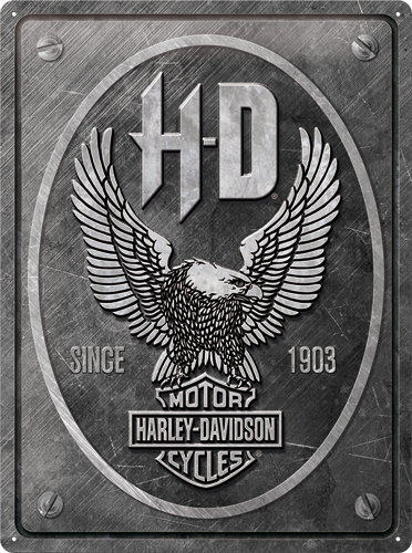 Nostalgic - Harley-Davidson Eagle 30x40