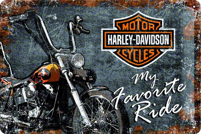 Nostalgic - Harley-Davidson Favourite Ride 20x30